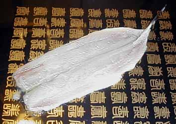 e0126576_1038628.jpg