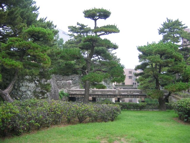 f0140087_23333036.jpg
