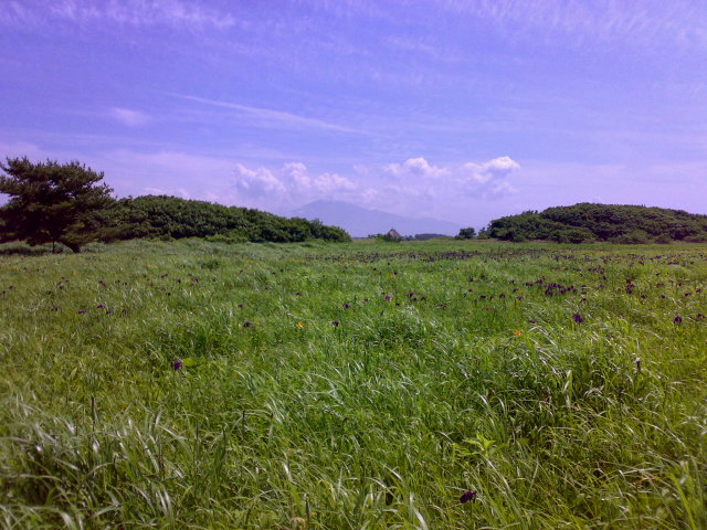 e0075892_21492367.jpg