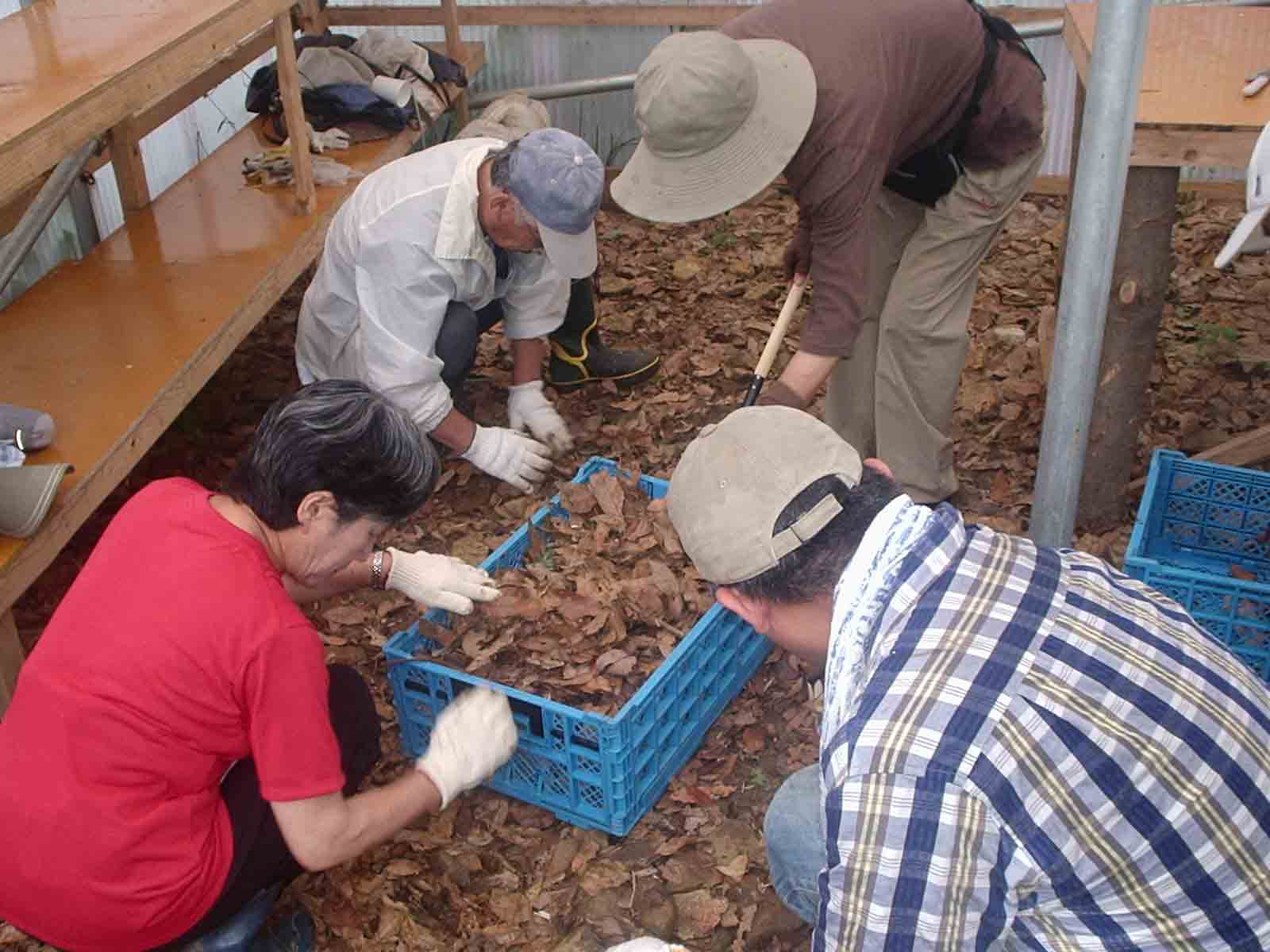 旬のタケノコを食べて学ぶ里山保全！【6/23】その2_c0123095_413238.jpg