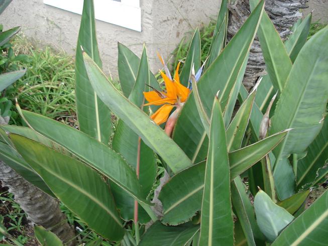 f0075595_13114588.jpg