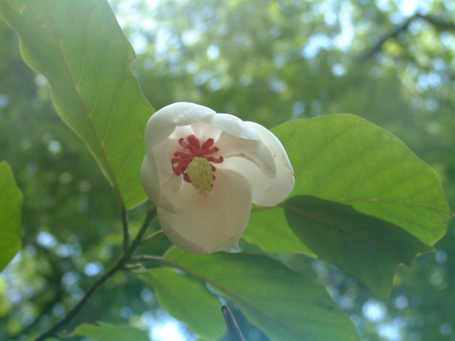 b0044296_09458.jpg