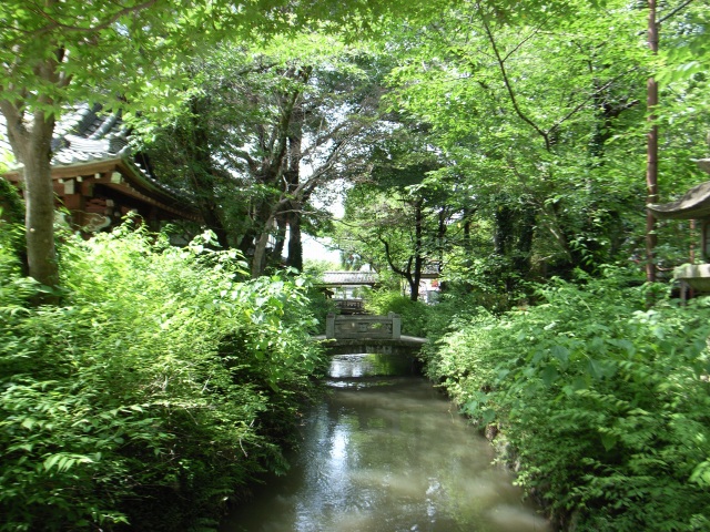 京都ポタリング～嵐山～_f0073398_934929.jpg