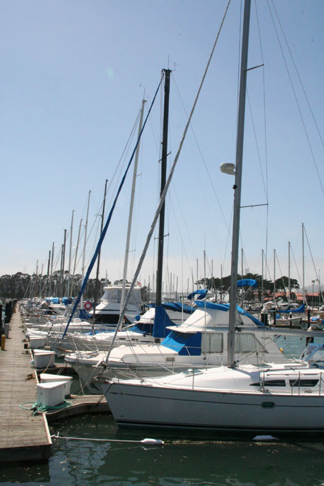 a0062203_1533444.jpg