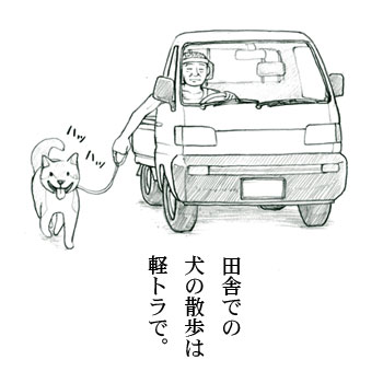犬散歩 ねこっぱれ B版 犬散歩 ねこっぱれ B版