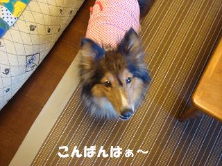 f0046854_20193047.jpg