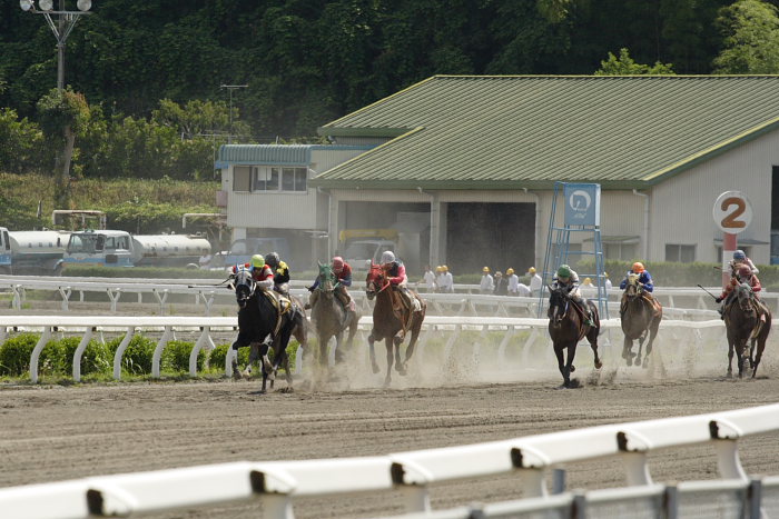 高知競馬騎手とファンとの交流会ｉｎ宿毛_a0077663_20371081.jpg