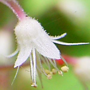 c0123363_16114435.jpg