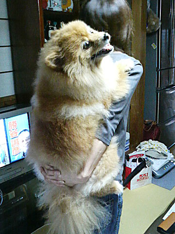 巨大犬 Whisperings 巨大犬 Whisperings
