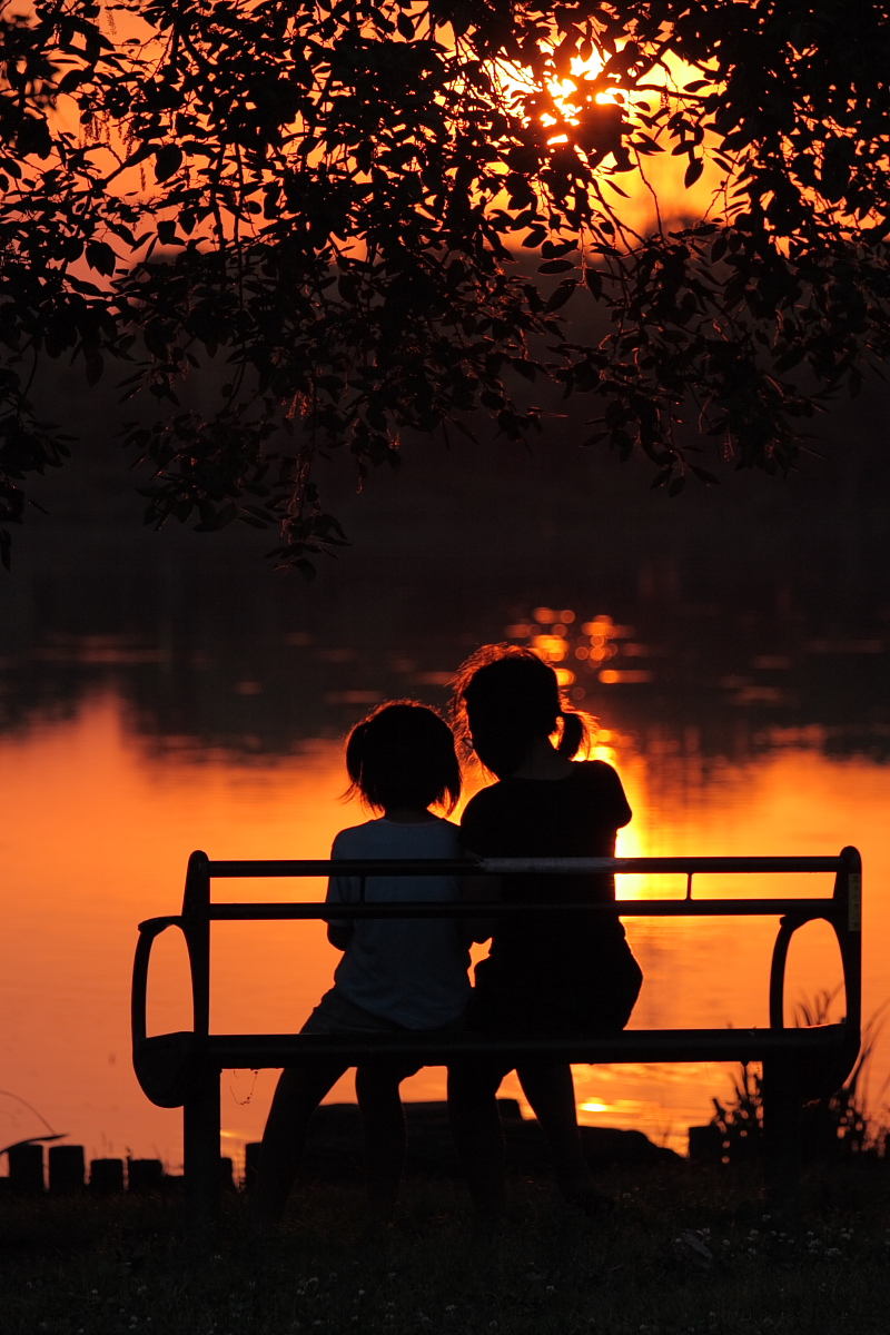 綺麗な夕日 写真部 綺麗な夕日 写真部