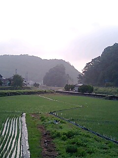 f0075181_6354828.jpg
