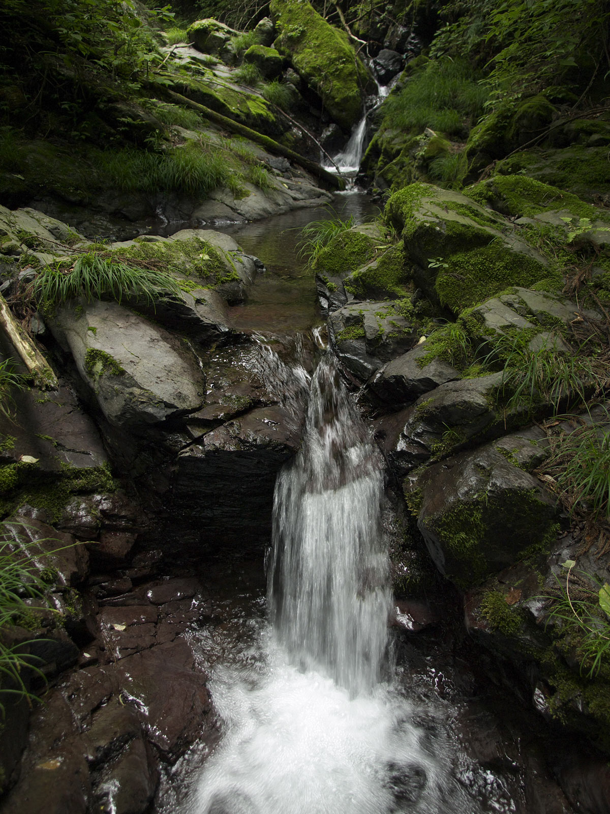 f0121181_4125525.jpg