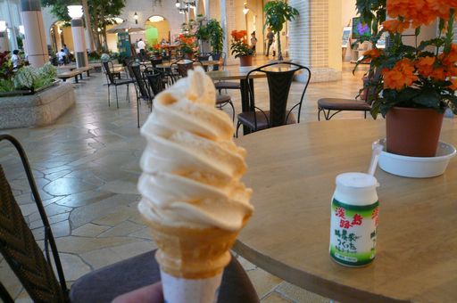 さぬきうどん食べ歩きバスツアー_f0097683_6463058.jpg