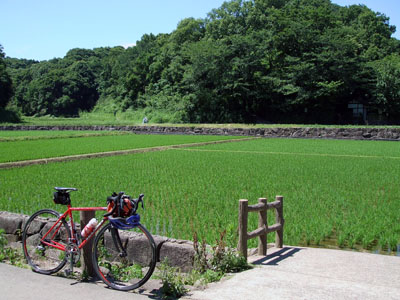 大人の文化祭_e0034994_10393287.jpg