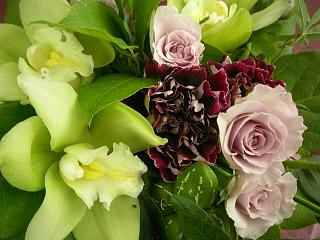 山ゴボウ_c0102228_1945615.jpg