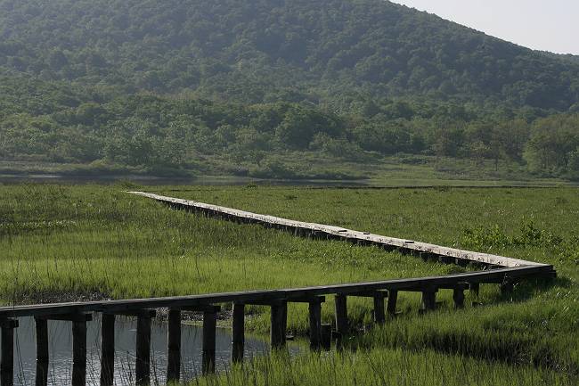 福島県雄国沼_d0106628_5214327.jpg