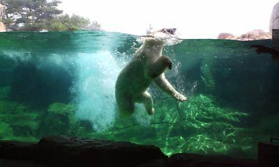 f0113630_12251914.jpg