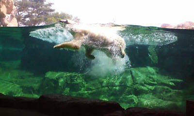 f0113630_1225585.jpg