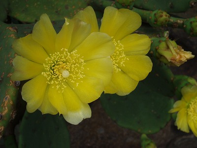 d0048350_2144687.jpg
