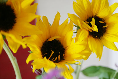 f0009457_2161567.jpg