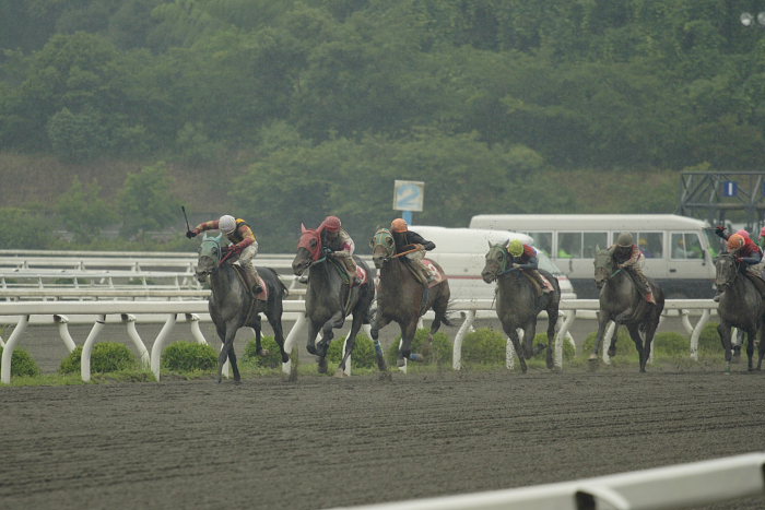 2007年6月24日（日） 高知競馬 9R 倉兼育康騎手壮行特別_a0077663_18251172.jpg