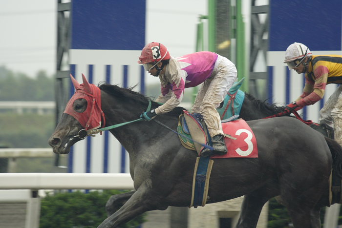 2007年6月24日(日) 高知競馬 9R 倉兼育康騎手壮行特別_a0077663_18253268.jpg