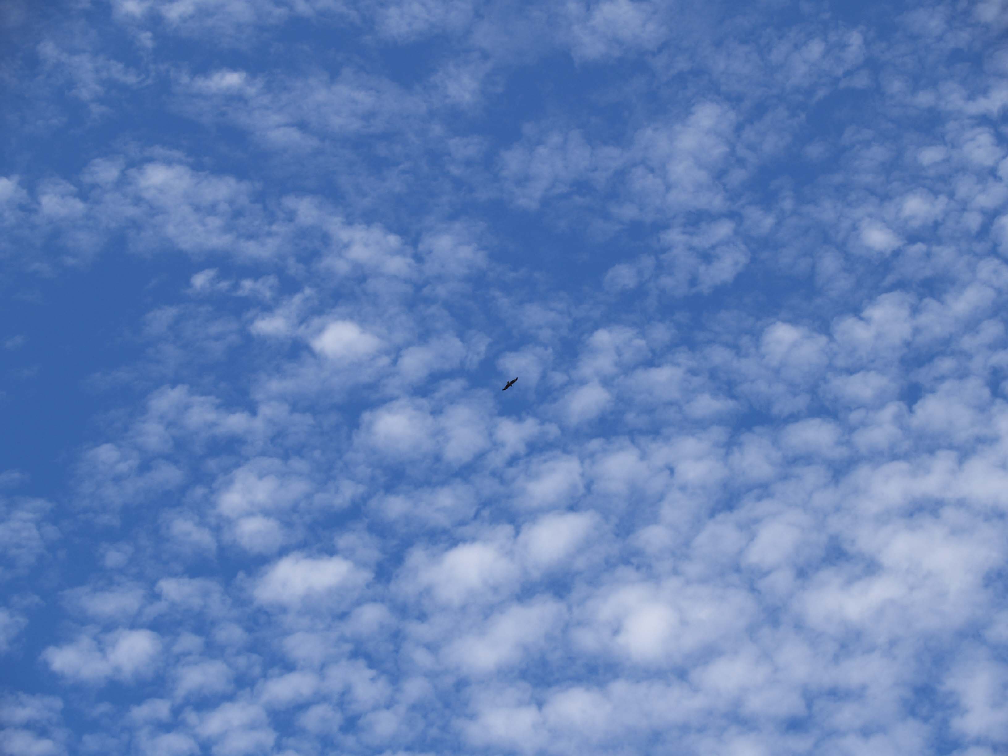 c0087867_22254981.jpg