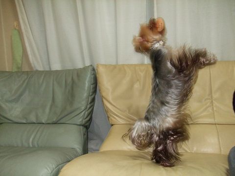 e0120072_23561414.jpg