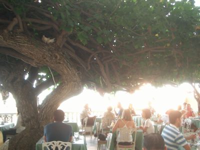 Breakfast of the 5th day in Hawaii at 『Hau Tree Lanai』☆_c0019473_21333842.jpg