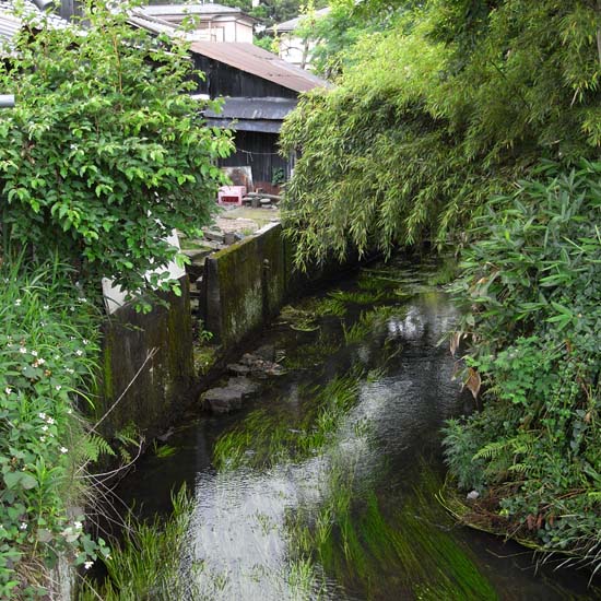 今日の路地　＃023　（新発田川Ⅱ）_e0082981_21405845.jpg