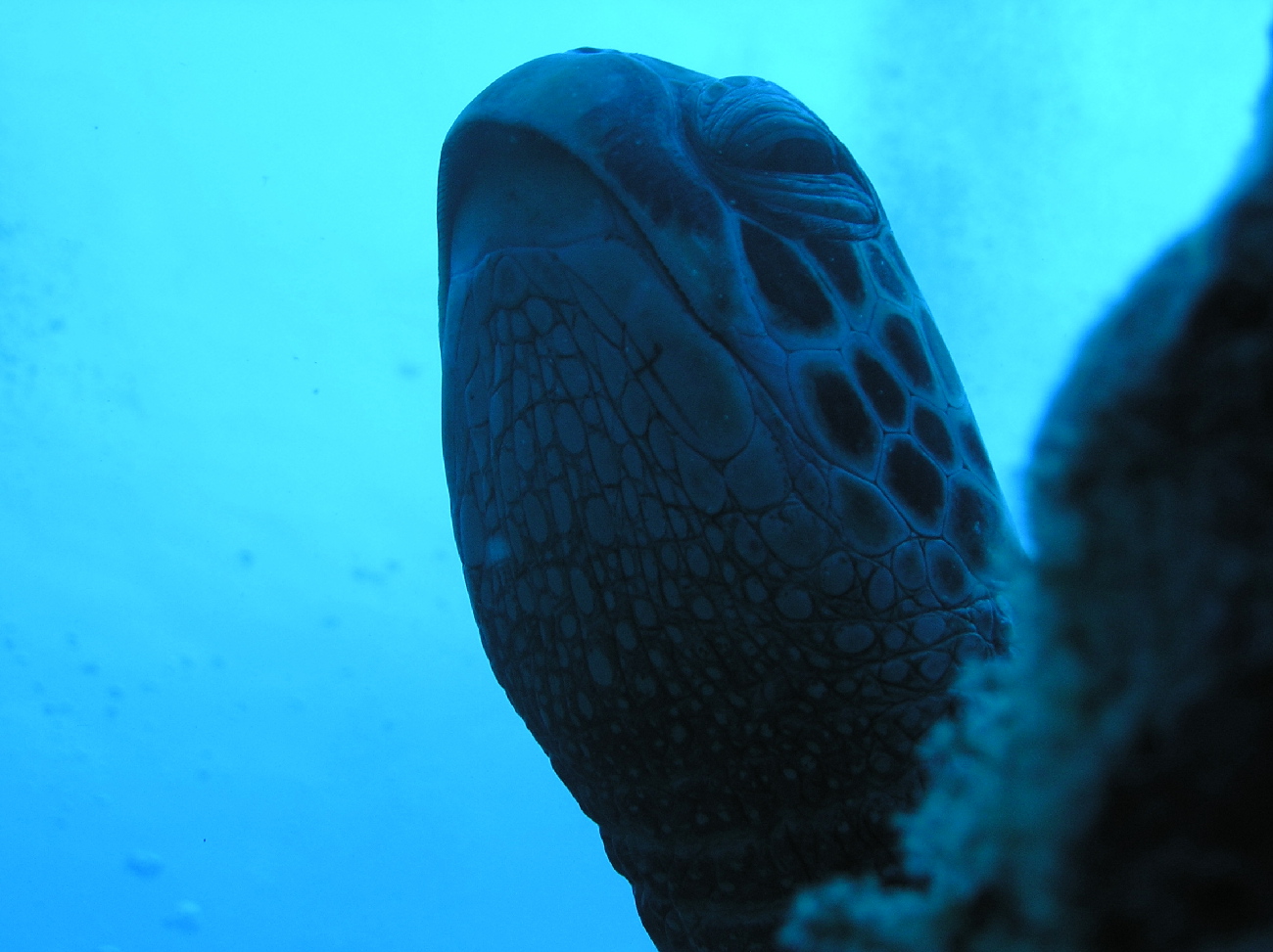 d0034291_23001.jpg
