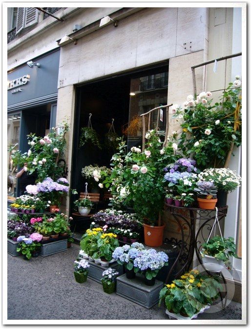 ■街角の花屋（パリ）_a0008105_554389.jpg