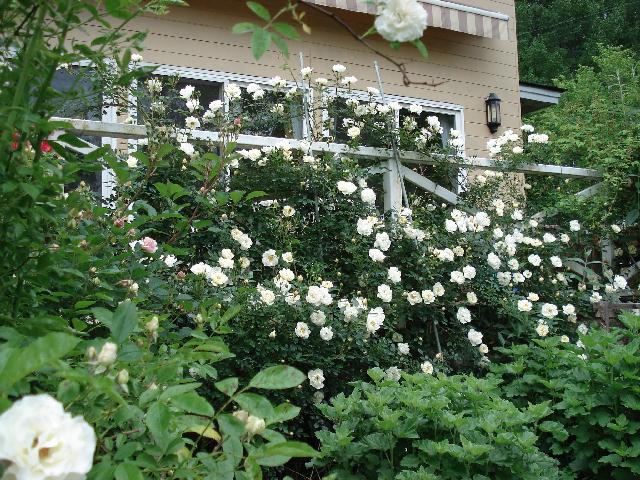 f0084806_9321796.jpg