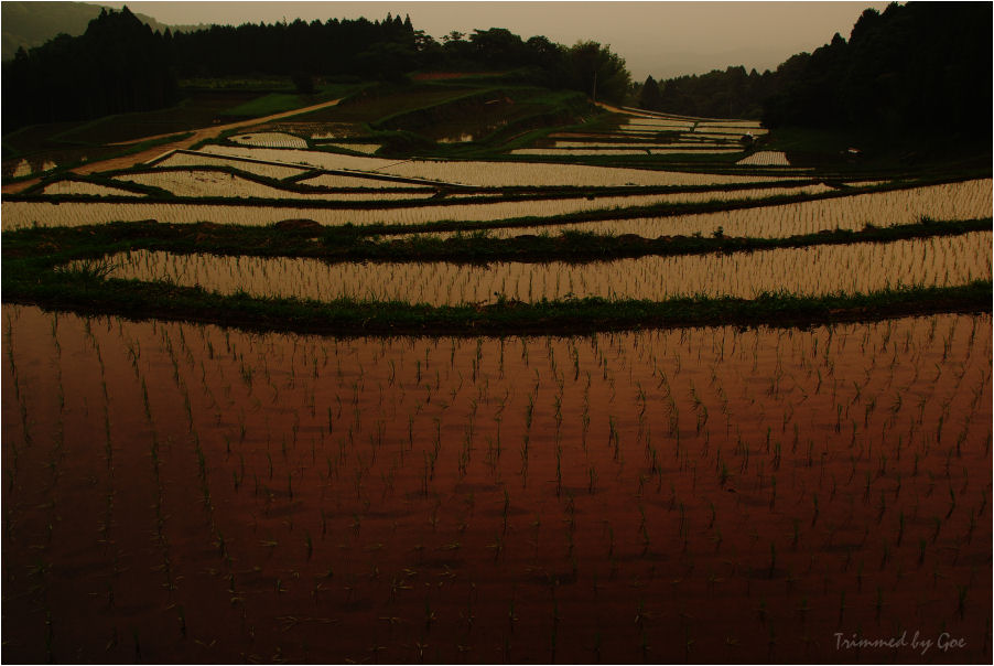 d0107811_20394520.jpg