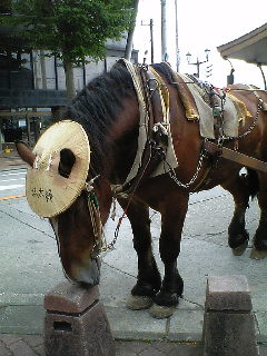 c0118013_14311036.jpg