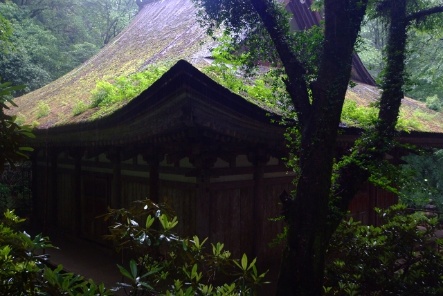 室生寺　雨のささやき_f0050534_7502914.jpg