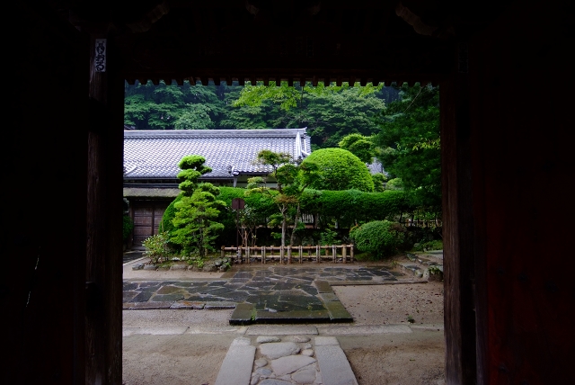 室生寺　雨のささやき_f0050534_7504576.jpg