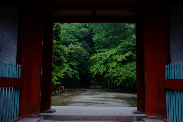 室生寺　雨のささやき_f0050534_751290.jpg