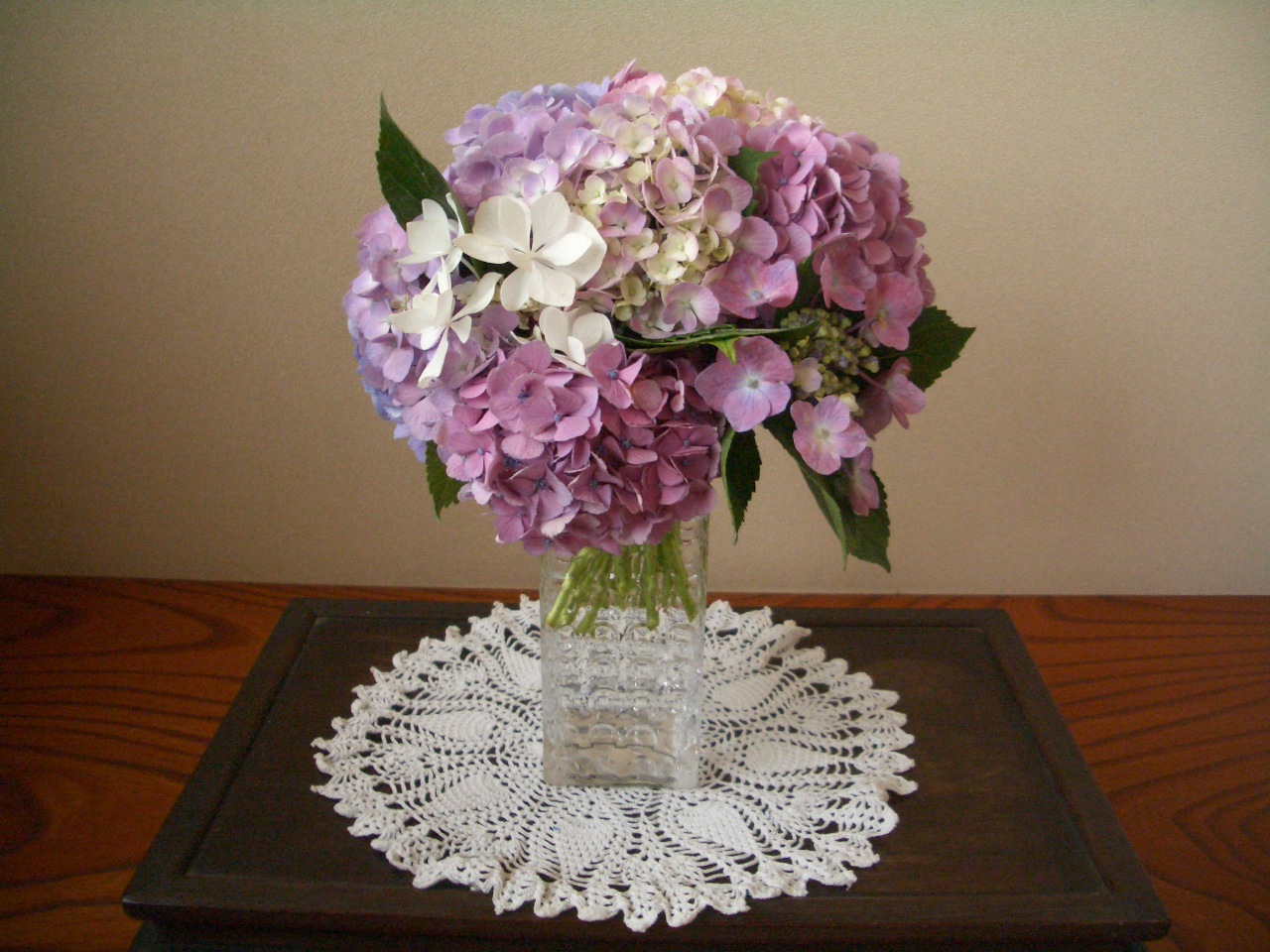 あじさいの花 ミセスケイコのフレンドシップ