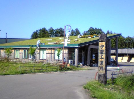 屋根の上に「スギッチ」?_f0081443_18294341.jpg