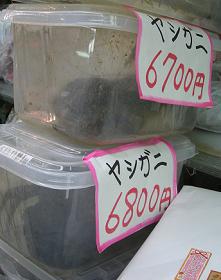 ヤシガニは飼わずに食べたのだ Kimcafeのb級グルメ旅 ヤシガニは飼わずに食べたのだ Kimcafeのb級グルメ旅