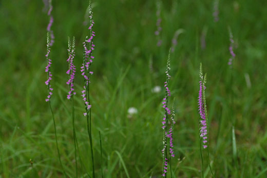 c0093046_63018.jpg