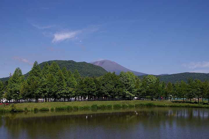 矢ケ崎公園でひと休み_e0000746_22195492.jpg