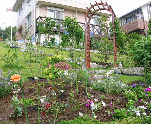 2007年6月27日(水)庭の手入れと薔薇_f0060461_1514815.jpg