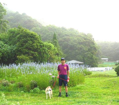 2007年6月27日(水)庭の手入れと薔薇_f0060461_15245168.jpg