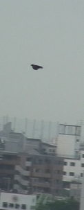 d0083265_22371210.jpg