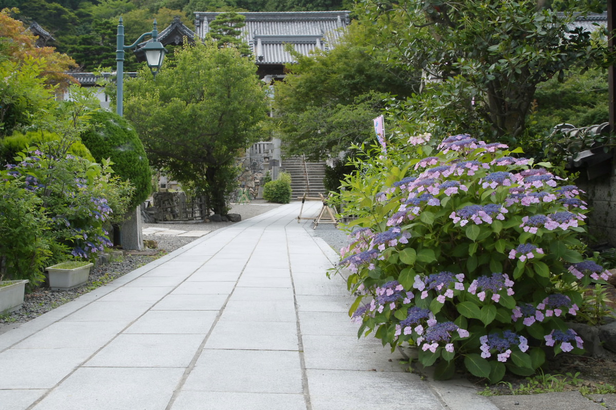 京都　西山　<楊谷寺>　1_f0021869_22203186.jpg