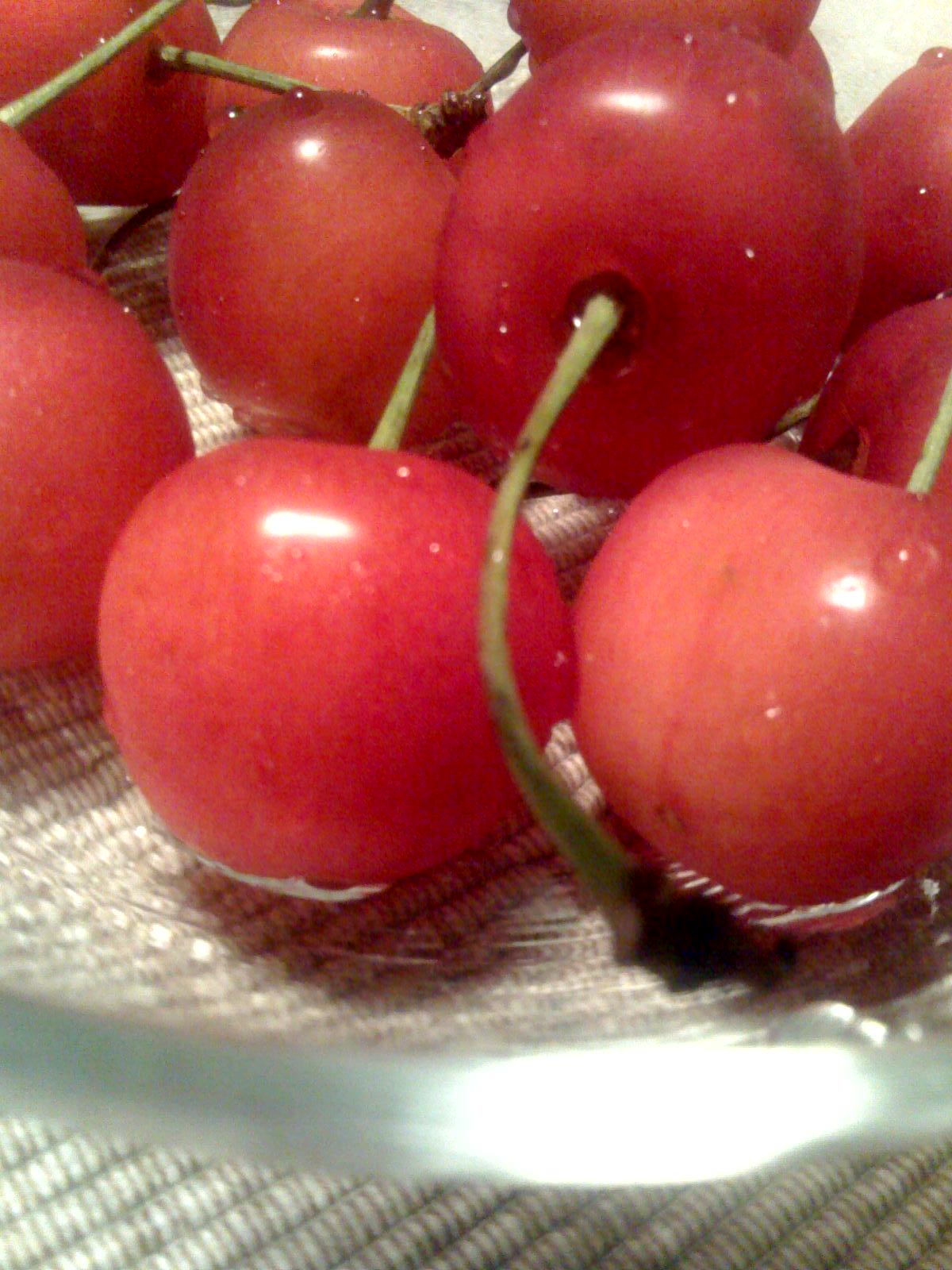 c0067272_235345100.jpg