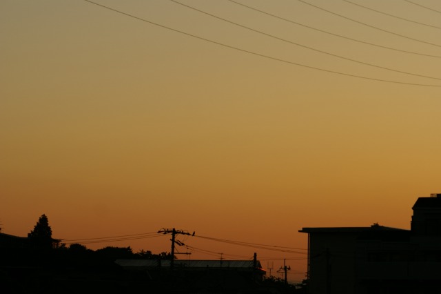 朝焼けの時間に　－朝日ってとっても綺麗ー_d0079278_1933440.jpg