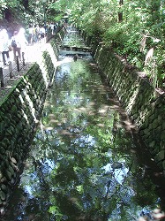 c0105785_1018342.jpg